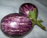 purple brinjal eggplant 350x288