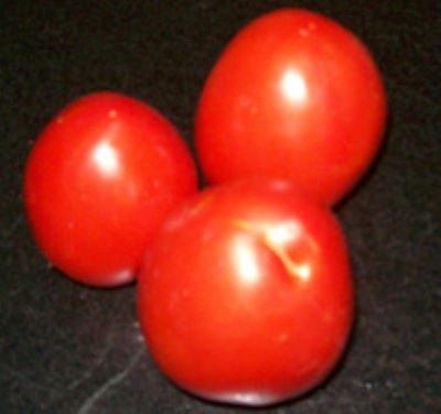 red ripe tomatoes 400x376