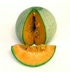 musk melon