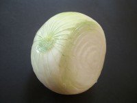 white onion cut